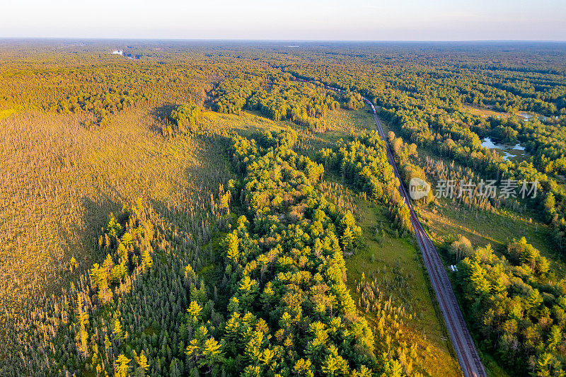 黄昏时的Muskoka Torrance Barrens Dark-Sky保护区，Gravenhurst，加拿大